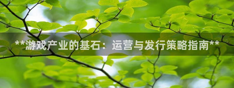 新宝gg平台登录手机版：**游戏产业的基石：运营与发行策略指南**