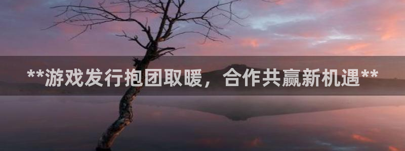 新宝gg注册账号：**游戏发行抱团取暖，合作共赢新机遇**