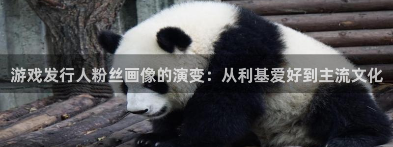 新宝gg平台注册登录指南：游戏发行人粉丝画像的演变：从利基爱好到主流文化
