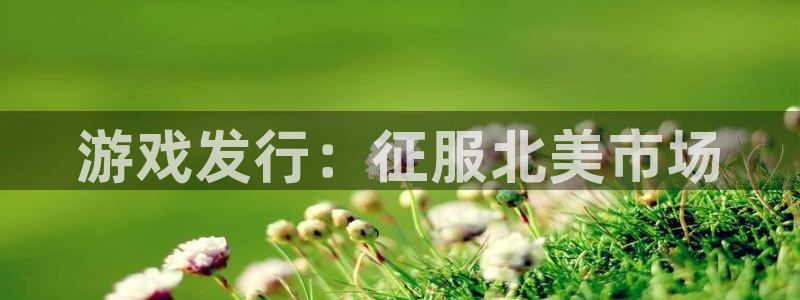 新宝GG平台招商：游戏发行：征服北美市场