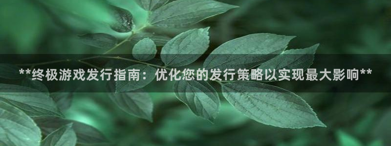 新宝gg—创造奇迹代理注册：**终极游戏发行指南：优化您的发行策略以实现最大影响**
