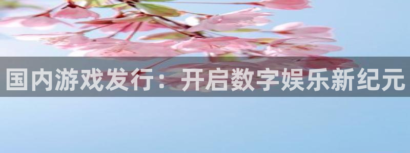 新宝gg手机版登录官网：国内游戏发行：开启数字娱乐新纪元