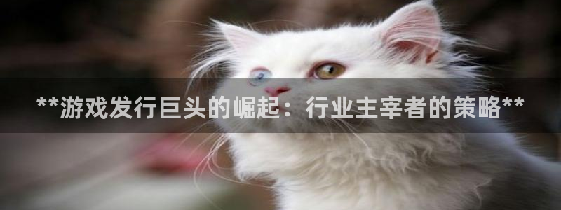 新宝gg官网登录找代理：**游戏发行巨头的崛起：行业主宰者的策略**