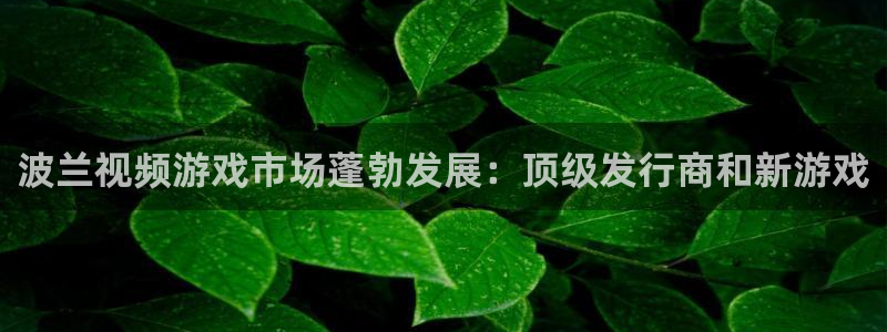 新宝gg奇迹登录怎么登录不了：波兰视频游戏市场蓬勃发展：顶级发行商和新游戏
