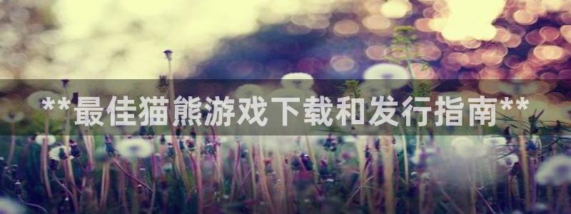 新宝gg怎么登录不了了：**最佳猫熊游戏下载和发行指南**