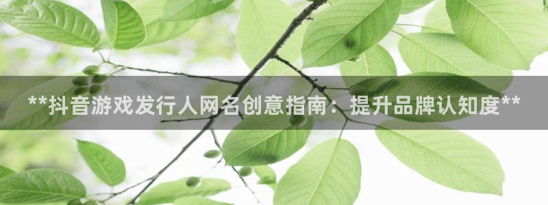 新宝gg创造奇奇迹：**抖音游戏发行人网名创意指南：提升品牌认知度**