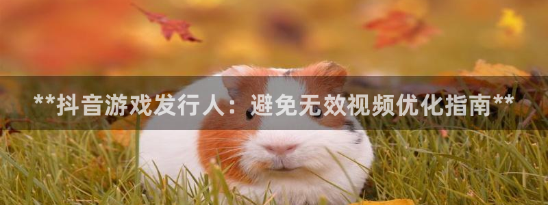 新宝gg平台：**抖音游戏发行人：避免无效视频优化指南**