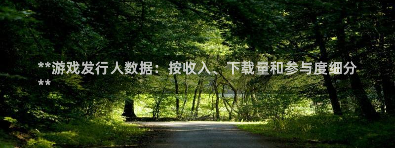 新宝gg5注册：**游戏发行人数据：按收入、下载量和参与度细分
**