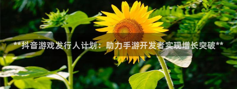 新宝gg注册账号：**抖音游戏发行人计划：助力手游开发者实现增长突破**