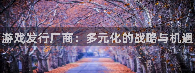 新宝gg—创造奇迹代理登录：游戏发行厂商：多元化的战略与机遇