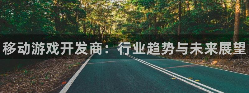 新宝gg最新更新内容与历史回顾：移动游戏开发商：行业趋势与未来展望