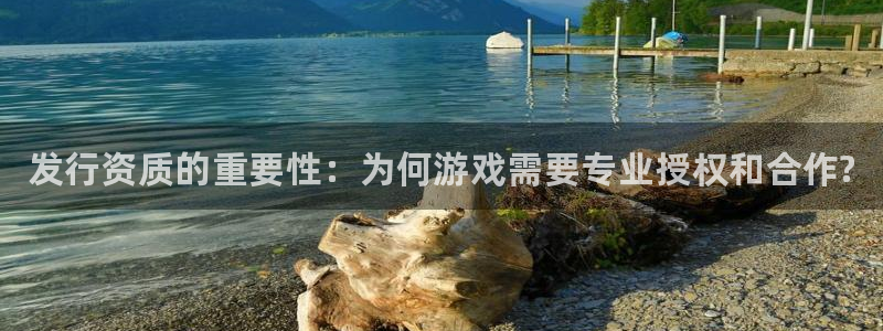 新宝gg提现不到账了?：发行资质的重要性：为何游戏需要专业授权和合作?