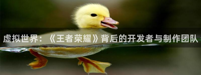 新宝gg一创造奇迹登录：虚拟世界：《王者荣耀》背后的开发者与制作团队