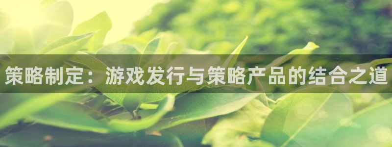 新宝GG创造奇迹客服怎么联系：策略制定：游戏发行与策略产品的结合之道