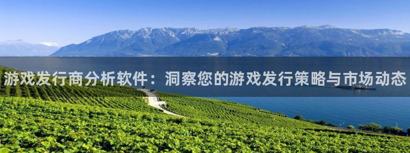 新宝gg为什么登不上去了：游戏发行商分析软件：洞察您的游戏发行策略与市场动态