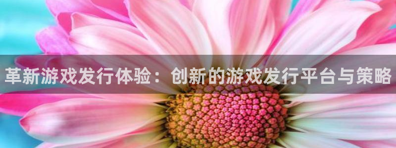 新宝gg一注册：革新游戏发行体验：创新的游戏发行平台与策略