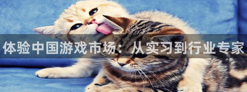 新宝gg登录不了是什么原因：体验中国游戏市场：从实习到行业专家