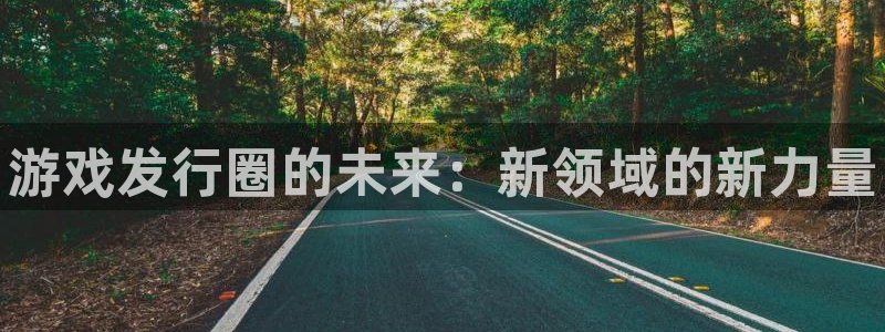 新宝一gg测速：游戏发行圈的未来：新领域的新力量