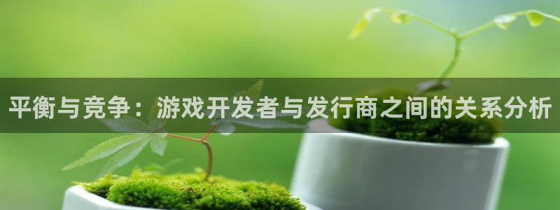 新宝gg注册：平衡与竞争：游戏开发者与发行商之间的关系分析