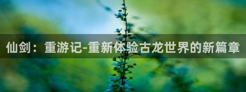 新宝gg创造奇迹客服：仙剑：重游记-重新体验古龙世界的新篇章